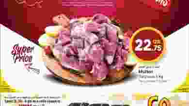 286975128_5291350827575367_4494181304918536234_n