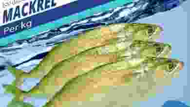 el3rod.com00001-1007