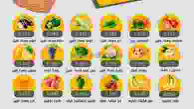 el3rod.com00001-1043