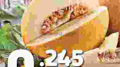 el3rod.com00001-1109
