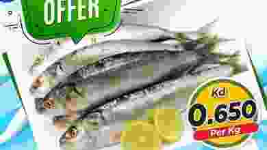 el3rod.com00001-1136