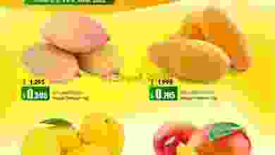 el3rod.com00001-115