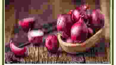 el3rod.com00001-125