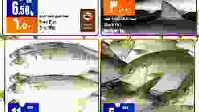 el3rod.com00001-1282