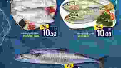 el3rod.com00001-1299