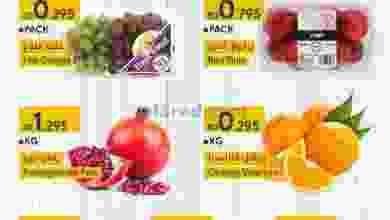 el3rod.com00001-1305