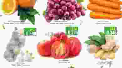 el3rod.com00001-1331