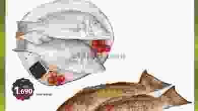 el3rod.com00001-1397