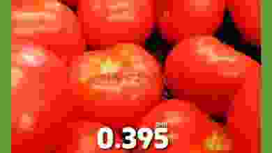 el3rod.com00001-150