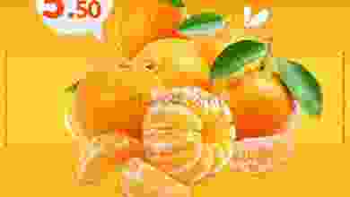 el3rod.com00001-1561