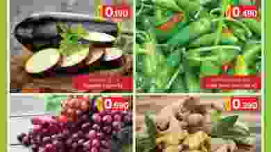 el3rod.com00001-1580