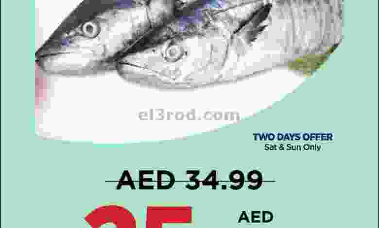 el3rod.com00001-164