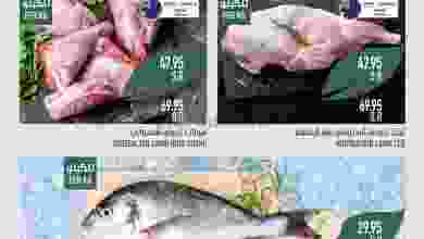 el3rod.com00001-231