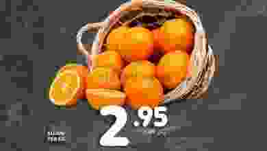 el3rod.com00001-403
