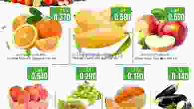 el3rod.com00001-476