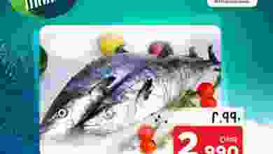 el3rod.com00001-480