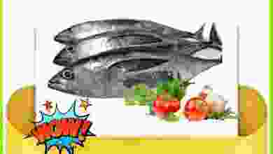 el3rod.com00001-520