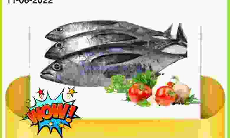 el3rod.com00001-520