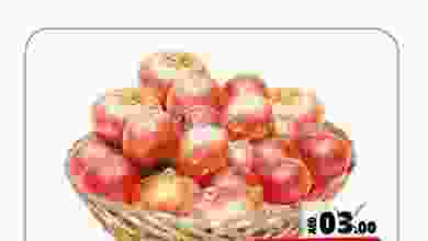 el3rod.com00001-561