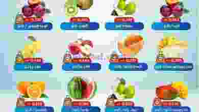 el3rod.com00001-571