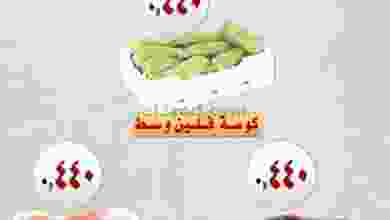 el3rod.com00001-573