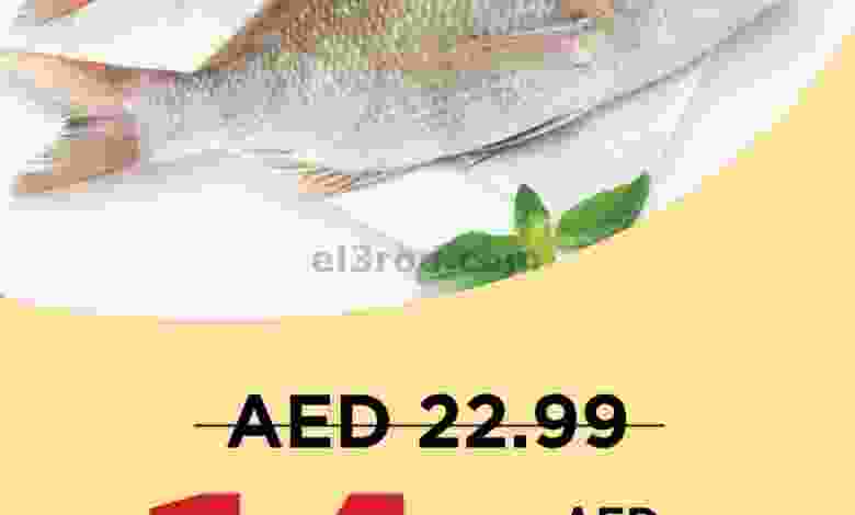 el3rod.com00001-580