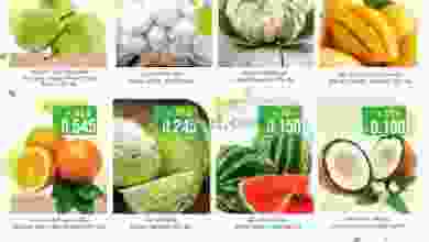 el3rod.com00001-624