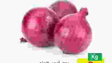 el3rod.com00001-648