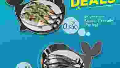 el3rod.com00001-700
