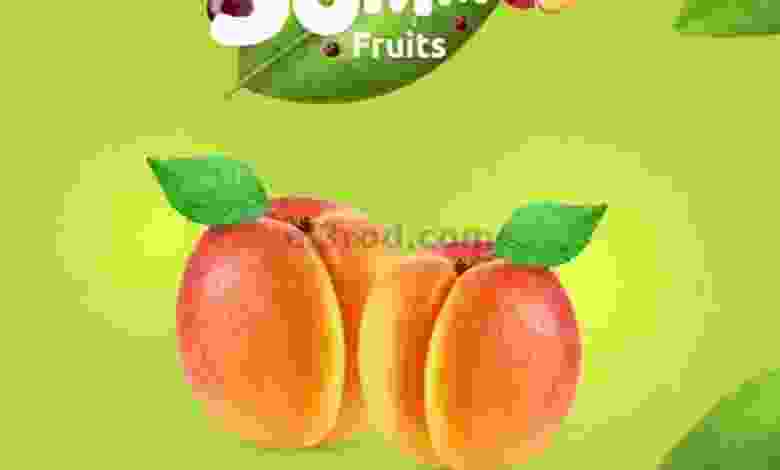 el3rod.com00001-713