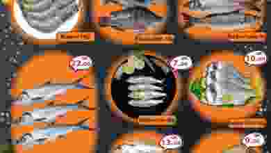 el3rod.com00001-718