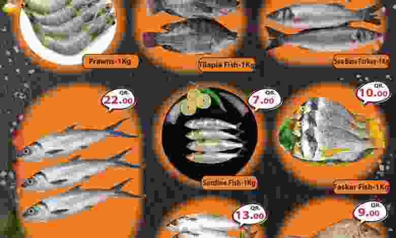 el3rod.com00001-718