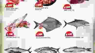 el3rod.com00001-835