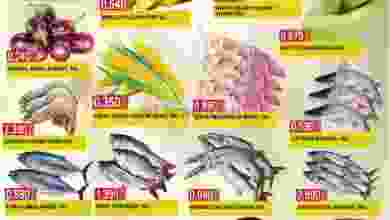 el3rod.com00001-90