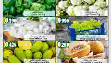 el3rod.com00001-902