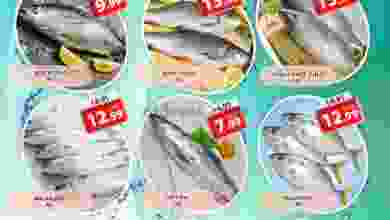 el3rod.com00001-976