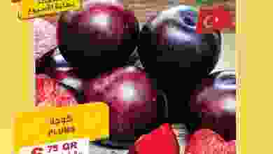 el3rod.com00002-1039