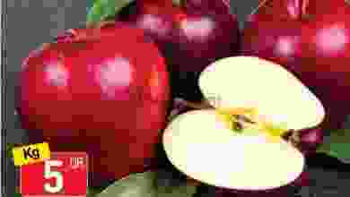 el3rod.com00002-1122
