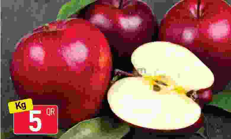 el3rod.com00002-1122