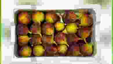 el3rod.com00002-1209