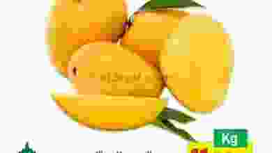el3rod.com00002-124