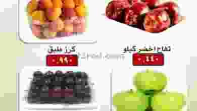 el3rod.com00002-241