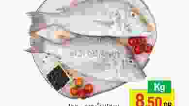 el3rod.com00002-256