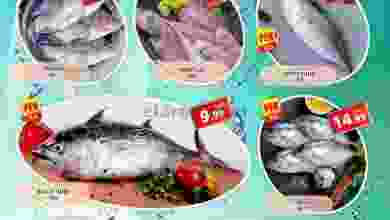 el3rod.com00002-837