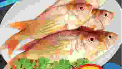 el3rod.com00002-865