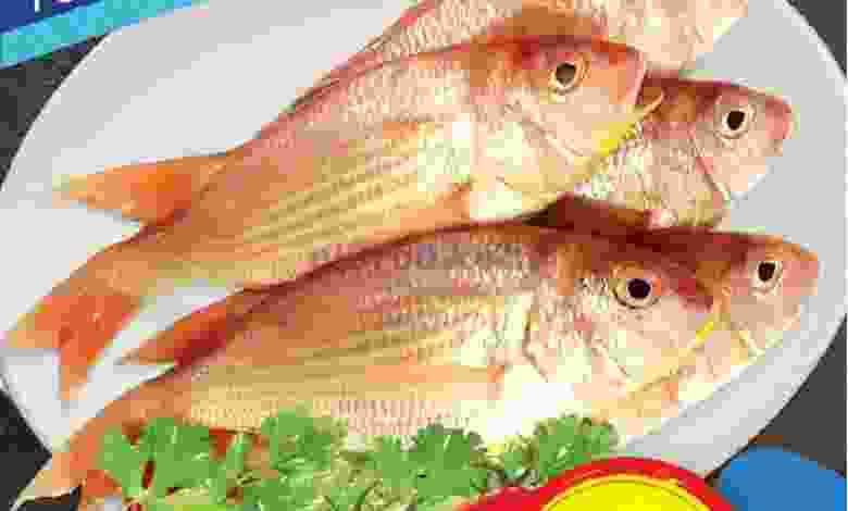 el3rod.com00002-865