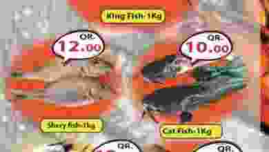 el3rod.com00003-1022