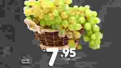 el3rod.com00003-47