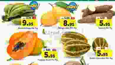 el3rod.com00003-889
