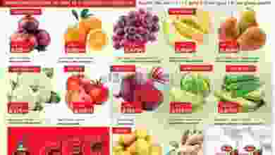 el3rod.com00004-1024